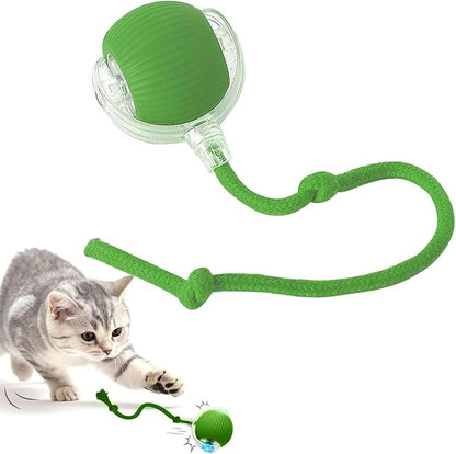 Pelota CazaRatón – 🚨 Si tu gato rompe tus muebles... necesita ESTO