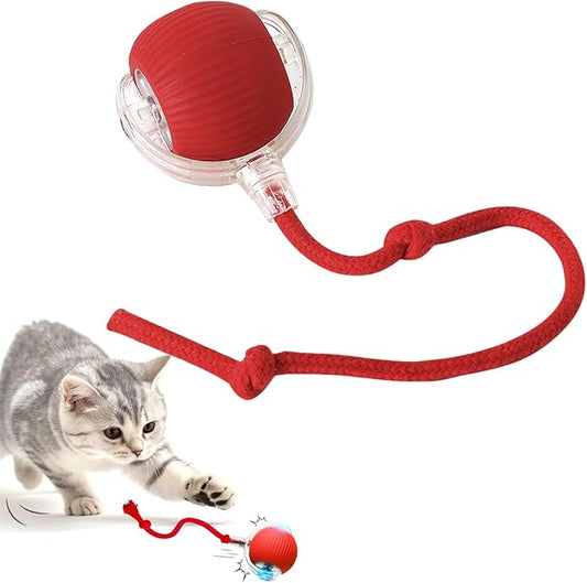 Pelota CazaRatón – 🚨 Si tu gato rompe tus muebles... necesita ESTO