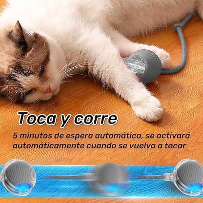 Pelota CazaRatón – 🚨 Si tu gato rompe tus muebles... necesita ESTO