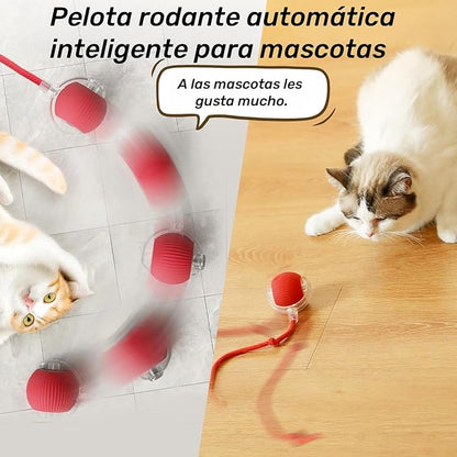 Pelota CazaRatón – 🚨 Si tu gato rompe tus muebles... necesita ESTO