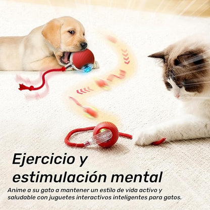 Pelota CazaRatón – 🚨 Si tu gato rompe tus muebles... necesita ESTO